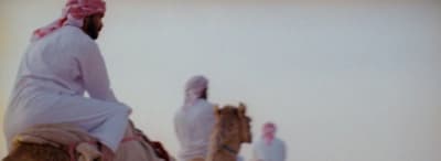 a group of men riding on the backs of camels
