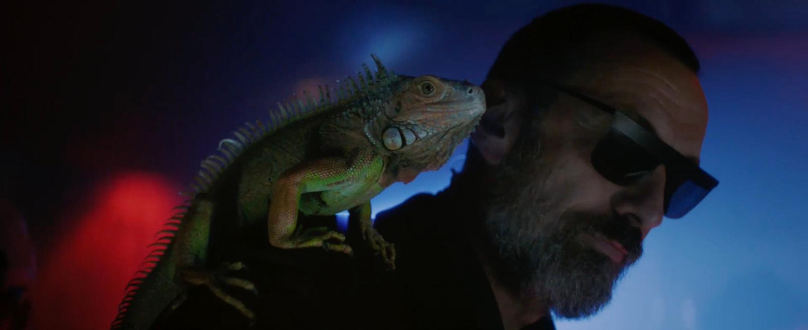 a bearded man with sunglasses and a bearded lizard on his shoulder