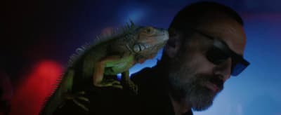 a bearded man with sunglasses and a bearded lizard on his shoulder