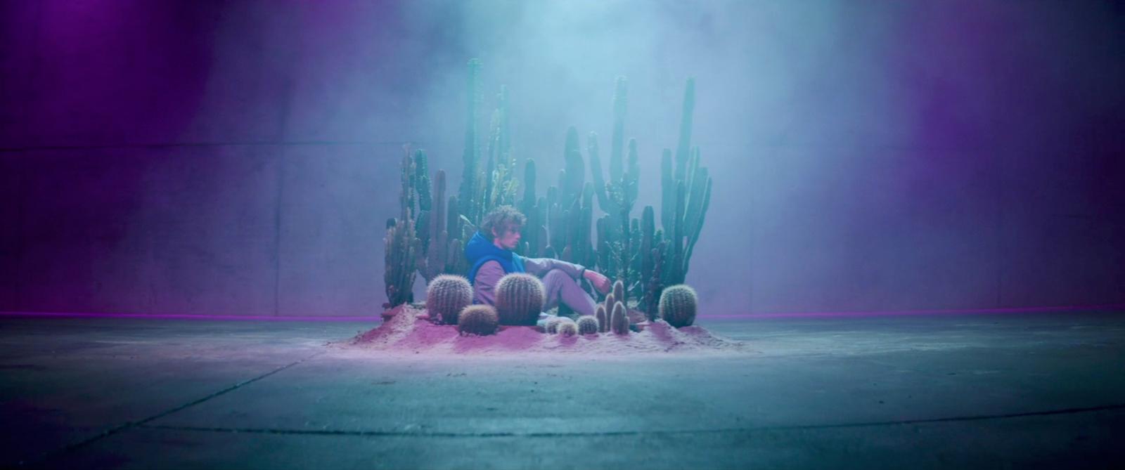 a person sitting on a giant pile of cacti