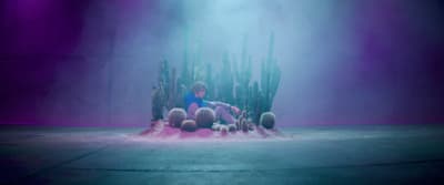 a person sitting on a giant pile of cacti