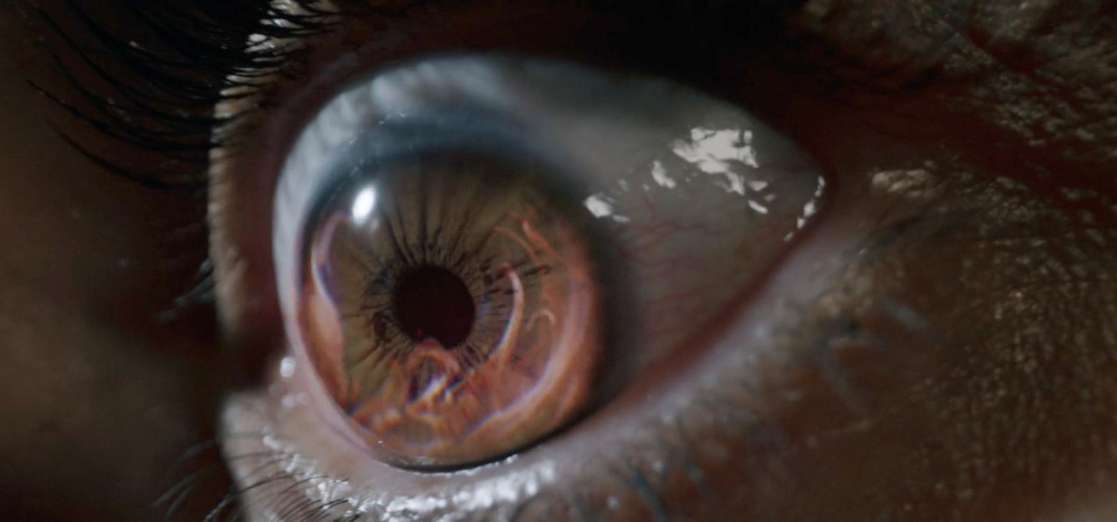 a close up of a person's brown eye