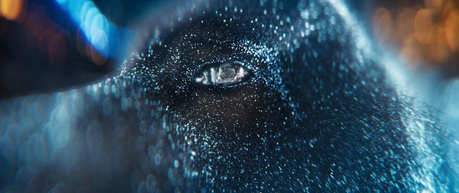 a close up of a dog's eye with a blurry background