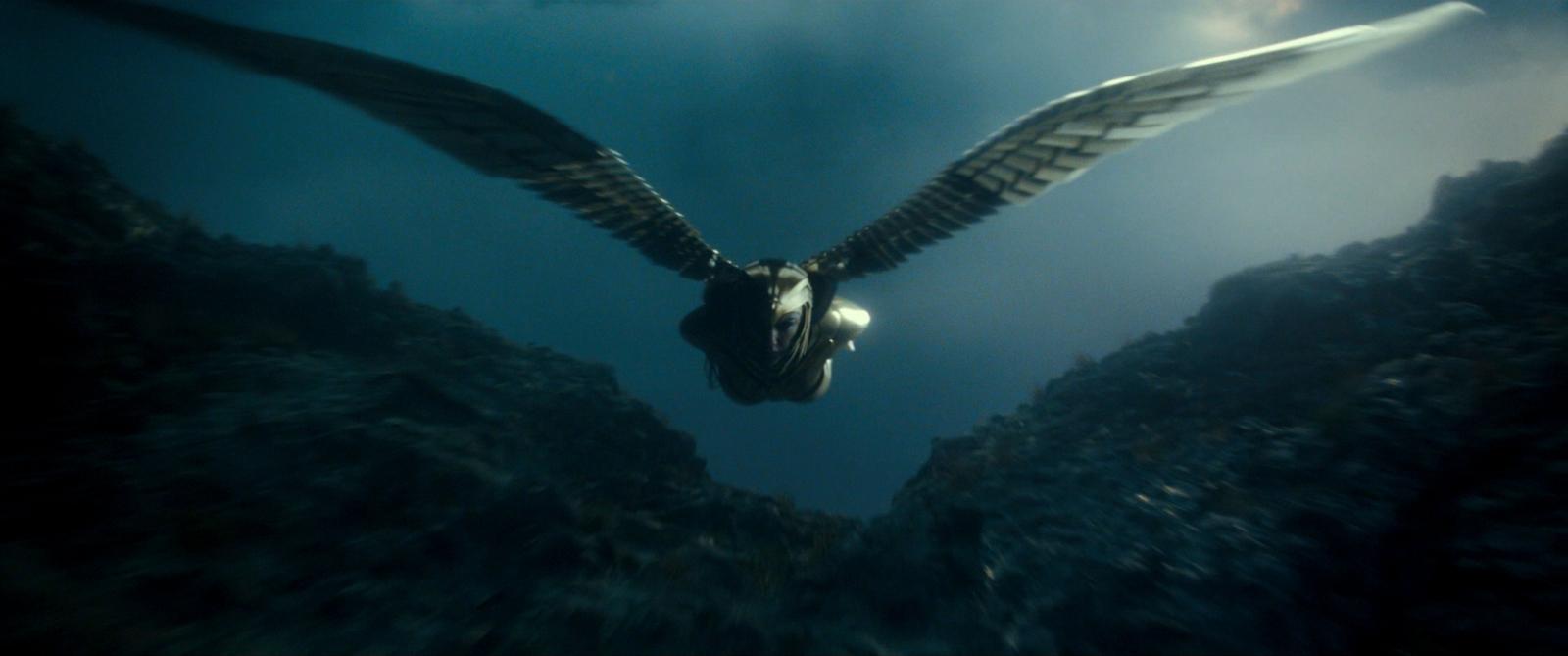 a large bird flying over a lush green forest