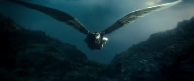 a large bird flying over a lush green forest