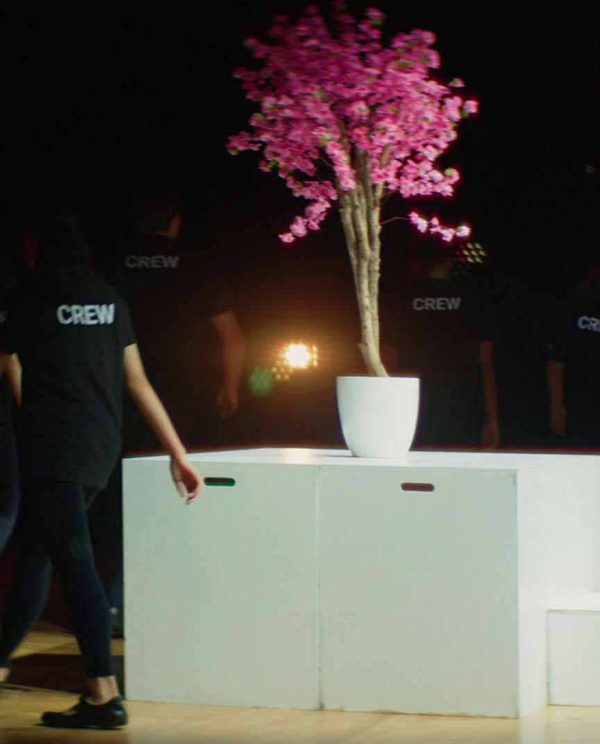 a man standing next to a white box with a pink tree in it
