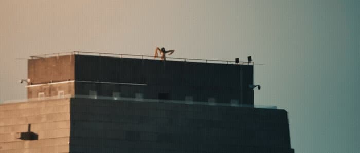 a couple of birds sitting on top of a tall building