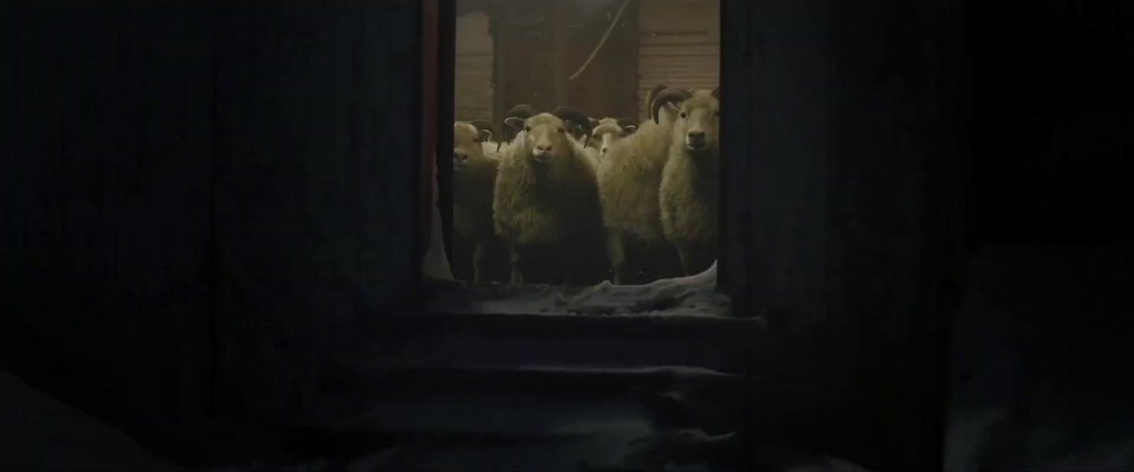 a group of sheep standing in a dark room