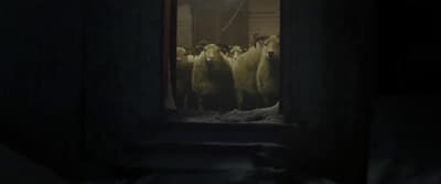 a group of sheep standing in a dark room