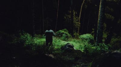 a man standing in the middle of a forest at night