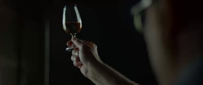 a person holding a glass of wine in their hand
