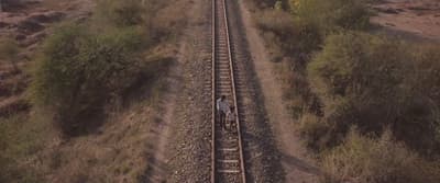a train traveling down train tracks through a rural countryside