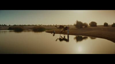 a horse that is standing in the water