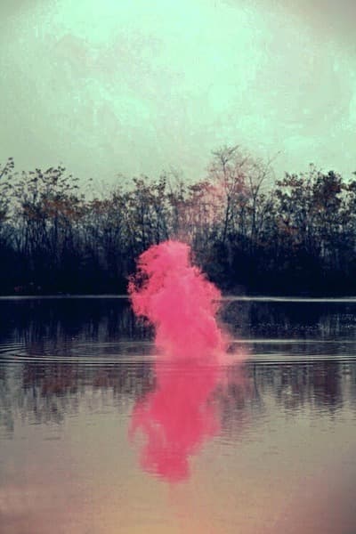 a pink substance is floating in a body of water
