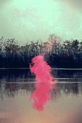 a pink substance is floating in a body of water