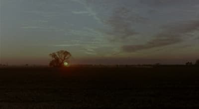 the sun is setting over a field with a lone tree