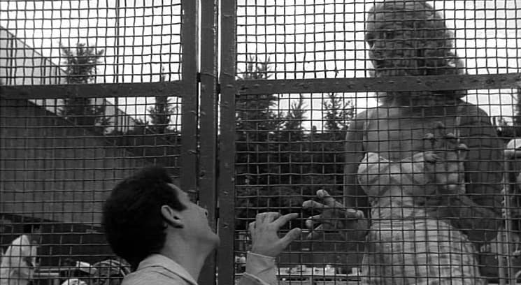 a woman feeding a baby in a cage