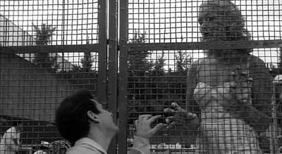 a woman feeding a baby in a cage