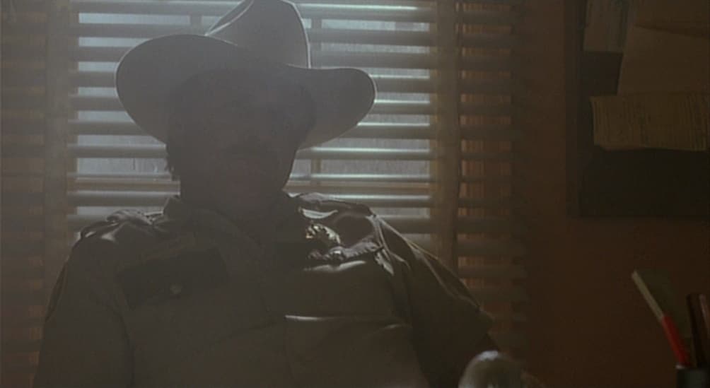 a man wearing a cowboy hat standing in front of a window