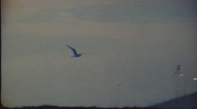 a bird flying through a cloudy blue sky