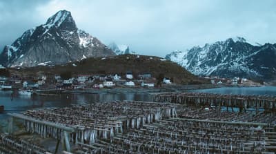 a group of wooden poles sitting next to a body of water