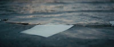 a piece of paper floating on top of a body of water