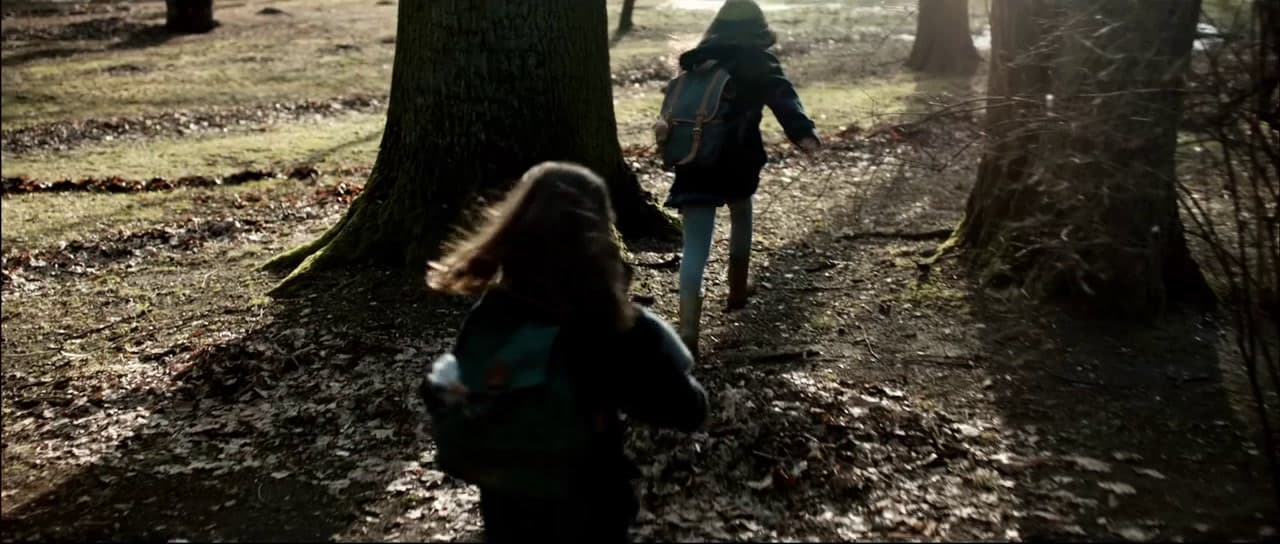 a couple of people walking through a forest