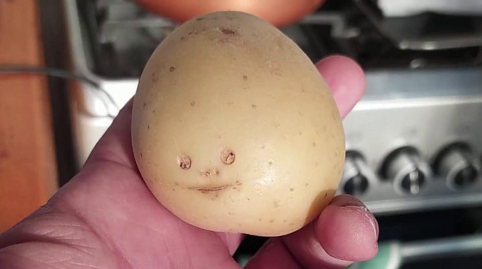 a person holding a potato in their hand
