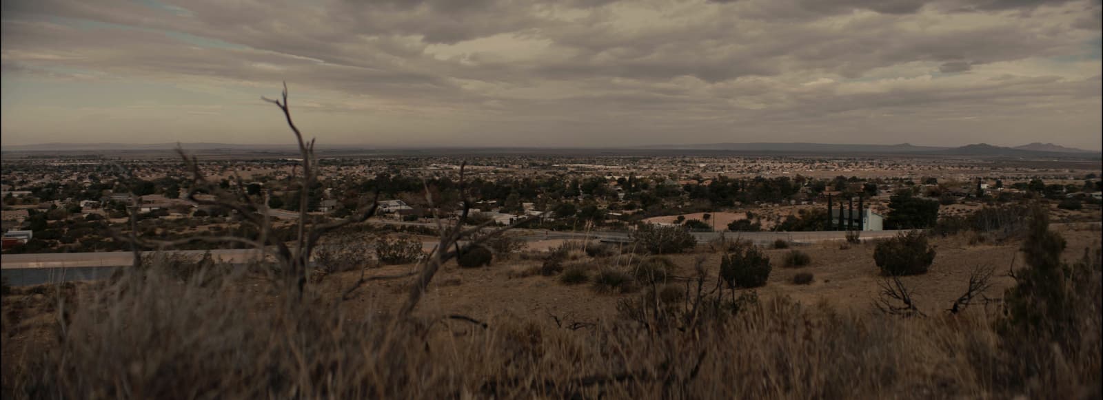 a view of a city from a hill