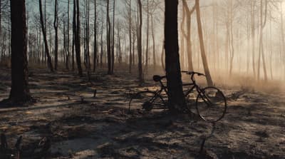 a bike parked in the middle of a forest