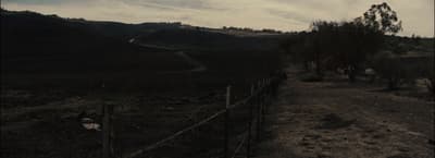 a dirt road in the middle of a field