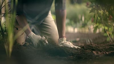 a person digging in the dirt with a pair of shoes