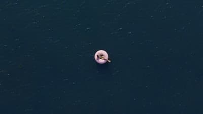an aerial view of a person floating on a pink object in the water