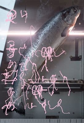 a large fish is being held up by a ruler