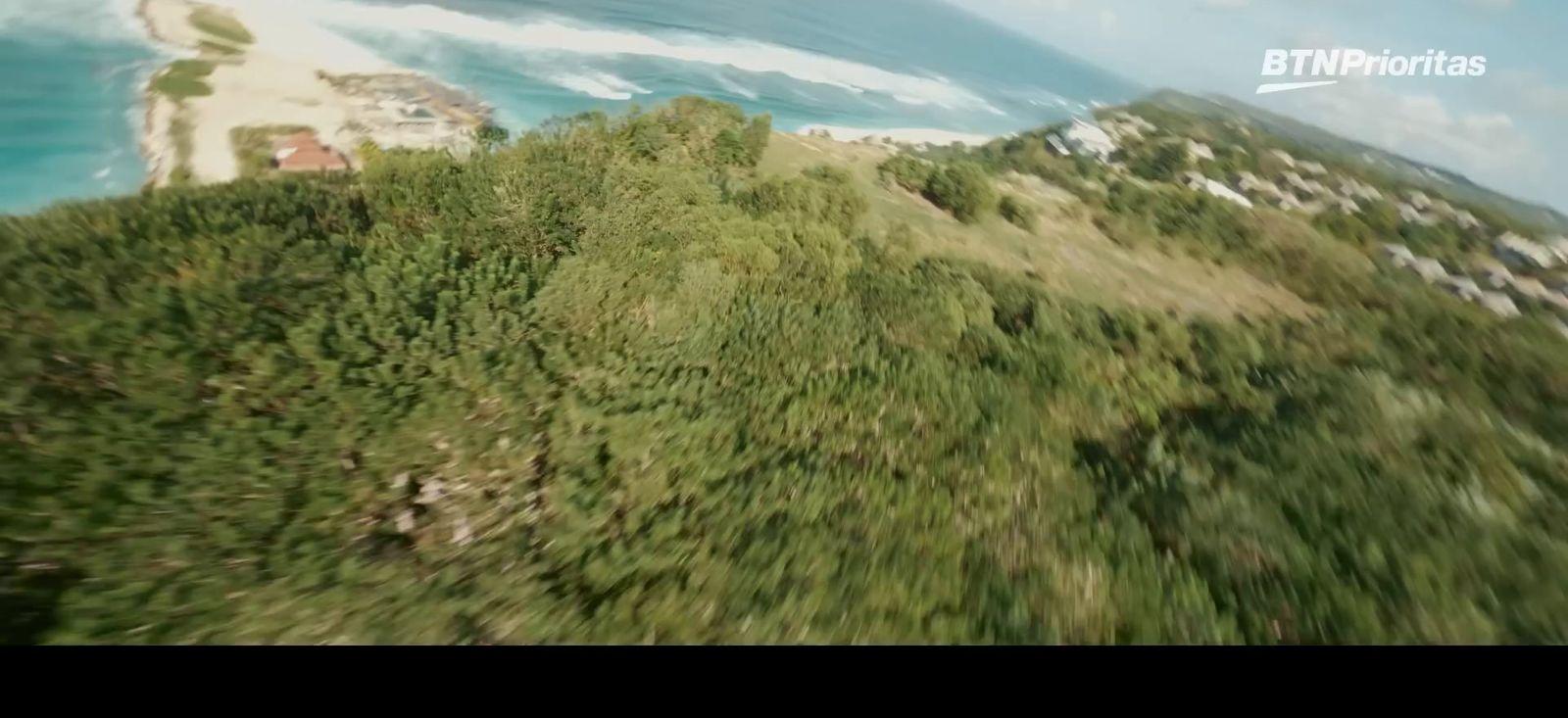 a bird's eye view of a lush green hillside