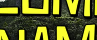a picture of a forest with trees in the background