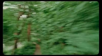 a blurry photo of a forest filled with lots of trees