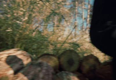 a blurry photo of a bunch of logs in the woods