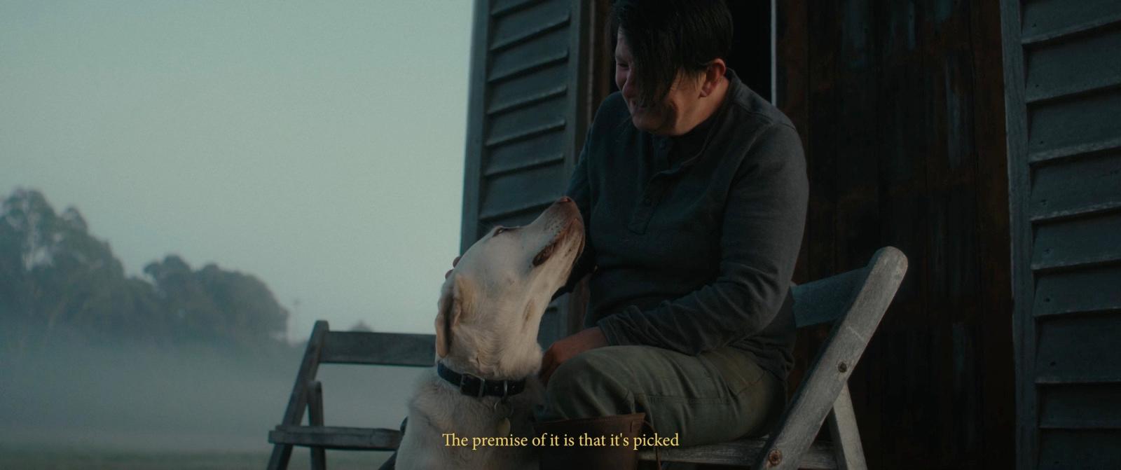 a person sitting on a chair with a dog