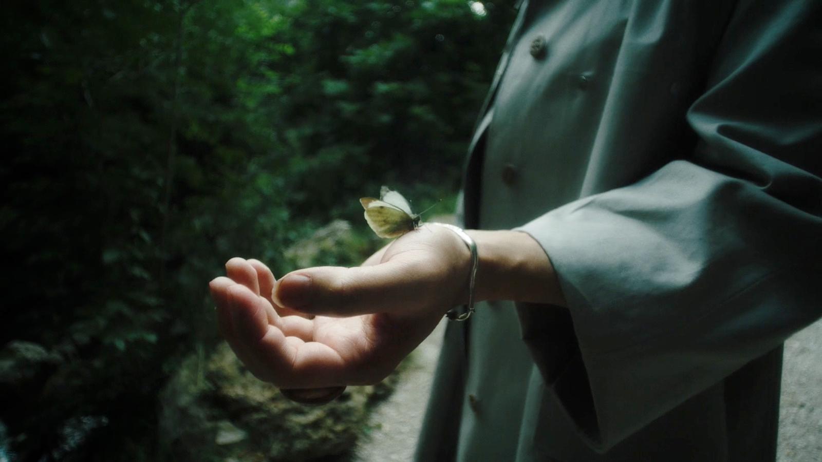 a person holding a small butterfly in their hand