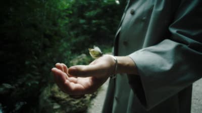 a person holding a small butterfly in their hand