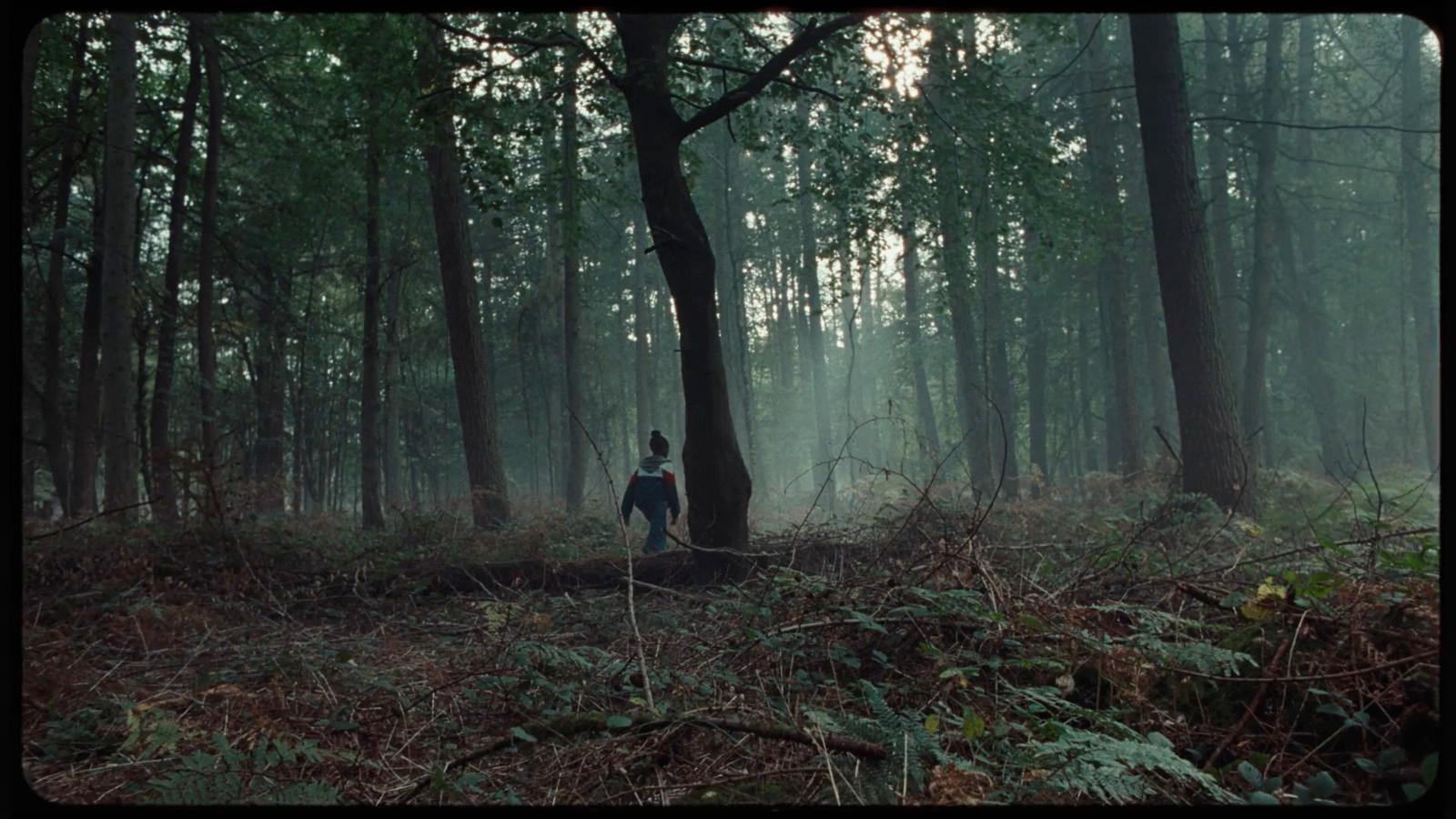 a person standing in the middle of a forest