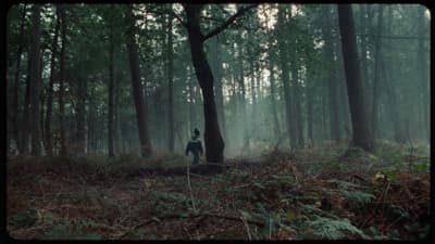 a person standing in the middle of a forest