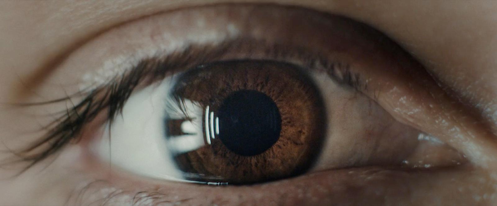 a close up of a person's brown eye