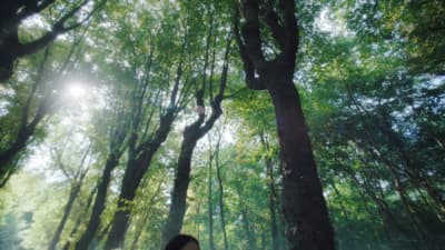 a woman standing in the middle of a forest