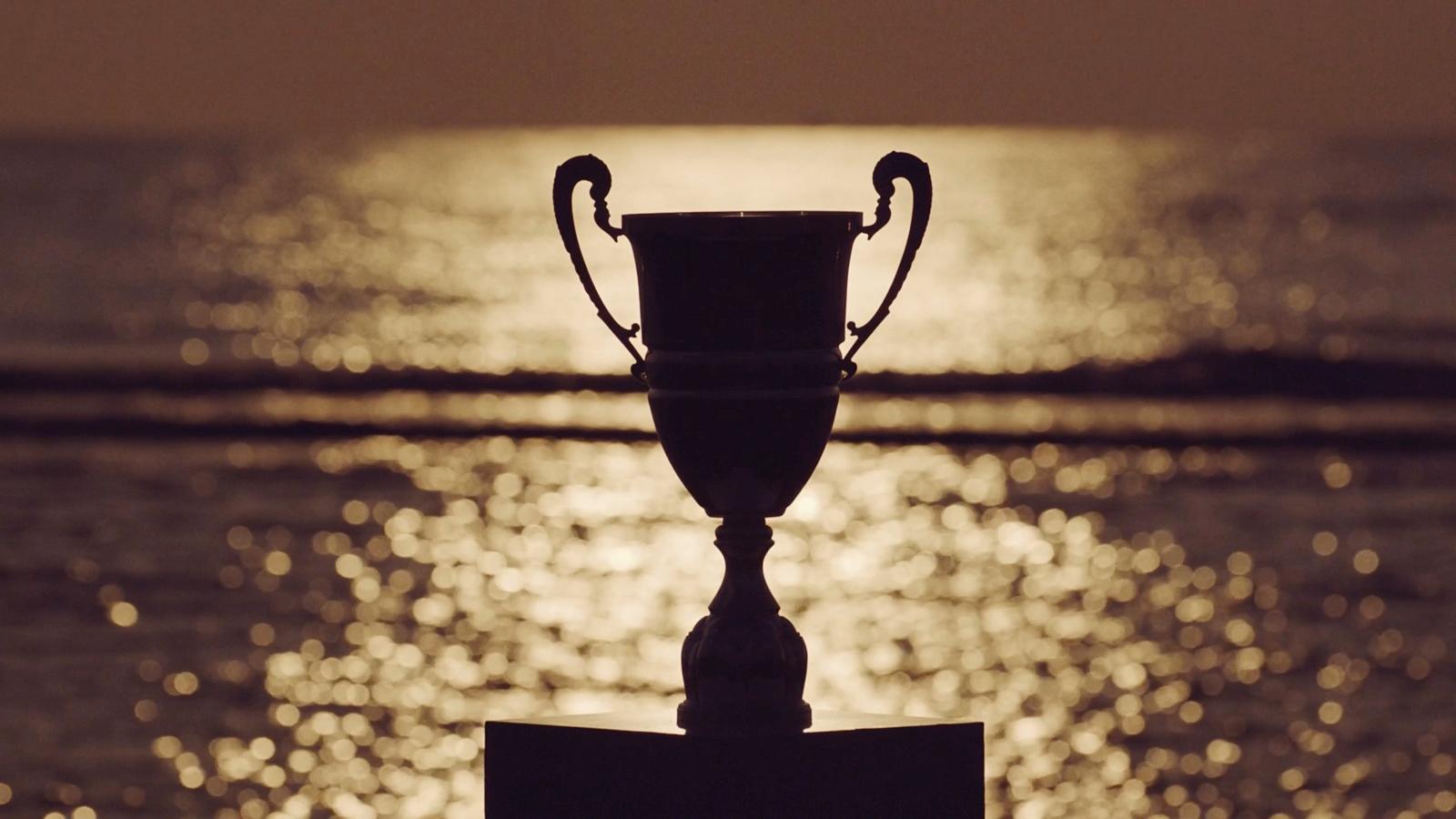a trophy sitting on top of a metal pole