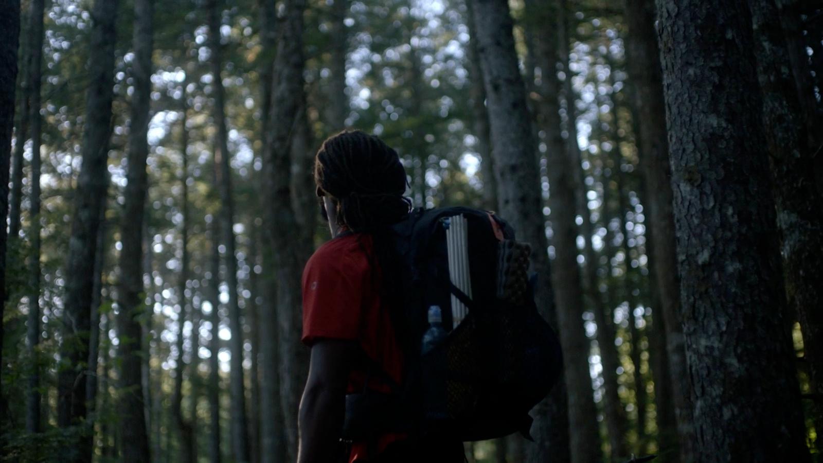 a man with a backpack walking through a forest