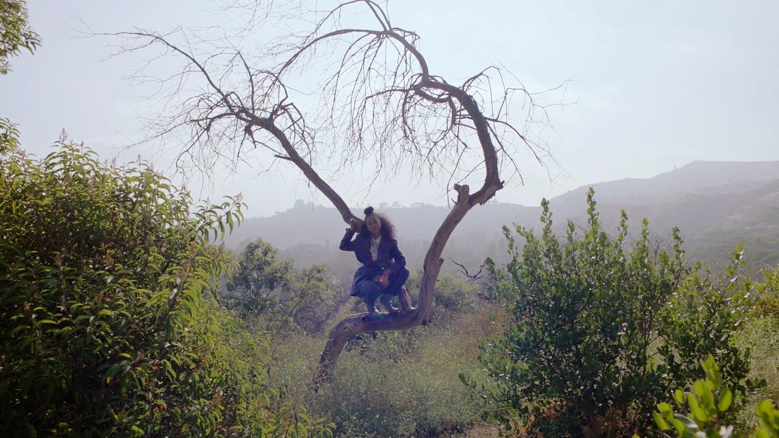 a couple of people sitting on top of a tree
