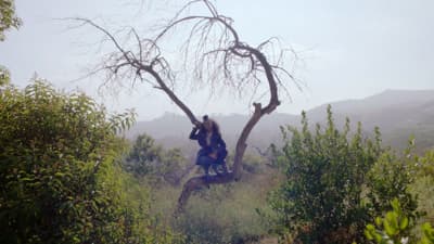 a couple of people sitting on top of a tree