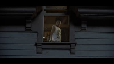 a man standing in a window of a building